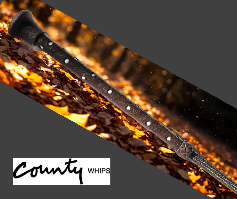 Childs Dressage Whip Brown County