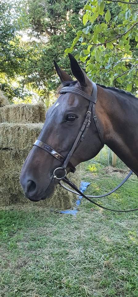 Patent Leather Noseband - Hurlford Foxwood Equestrian