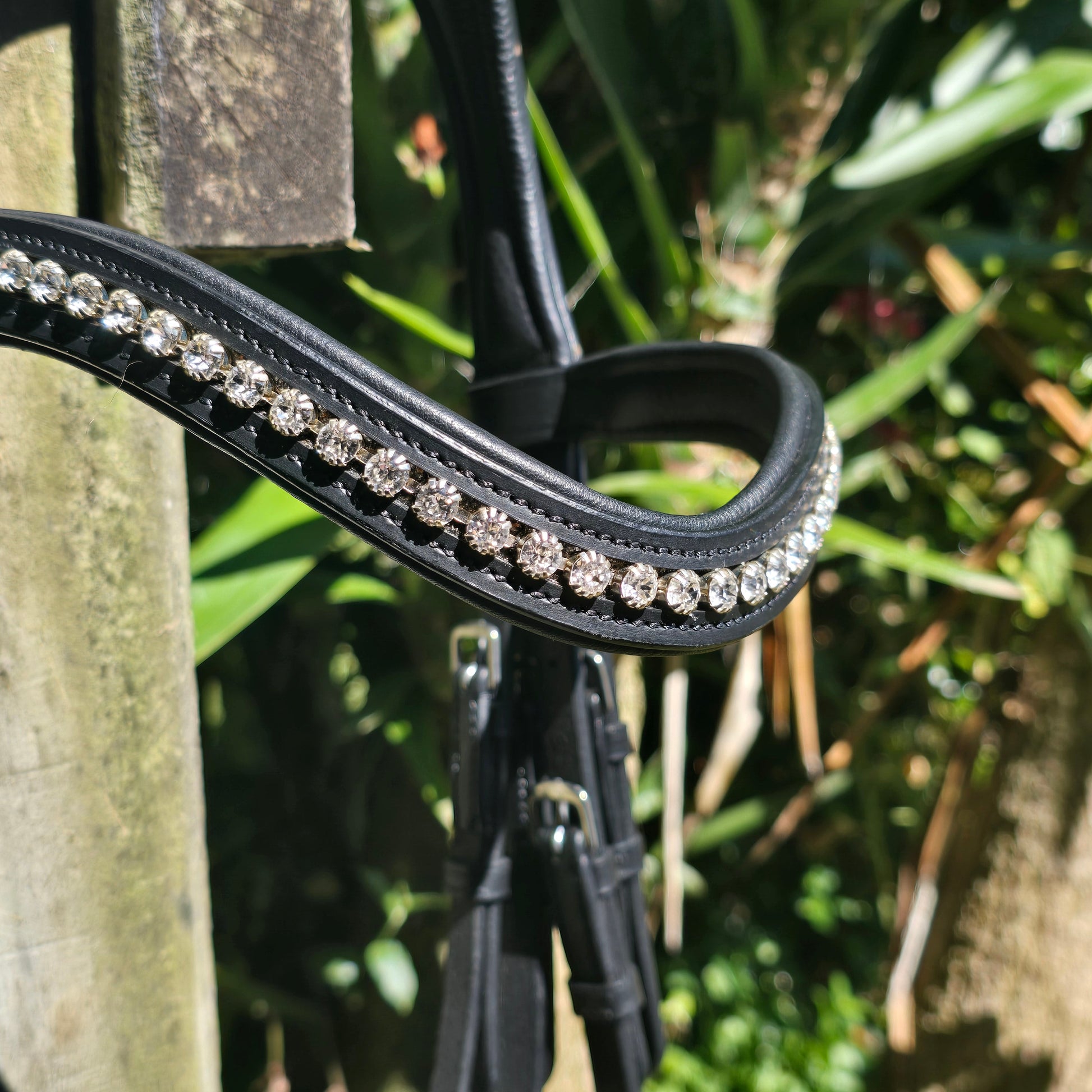 GES Reno Double Bridle| Black  Foxwood Equestrian | Showing Tack and Saddlery Store