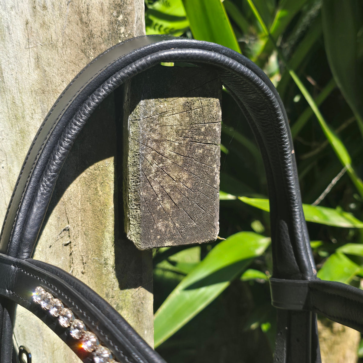 GES Reno Double Bridle| Black  Foxwood Equestrian | Showing Tack and Saddlery Store