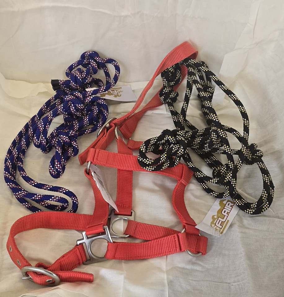Cob Halters Foxwood Equestrian - Showing Tack and Saddlery