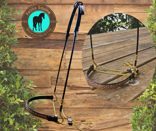 Royalty Show Halter - Large Size Petite Equine