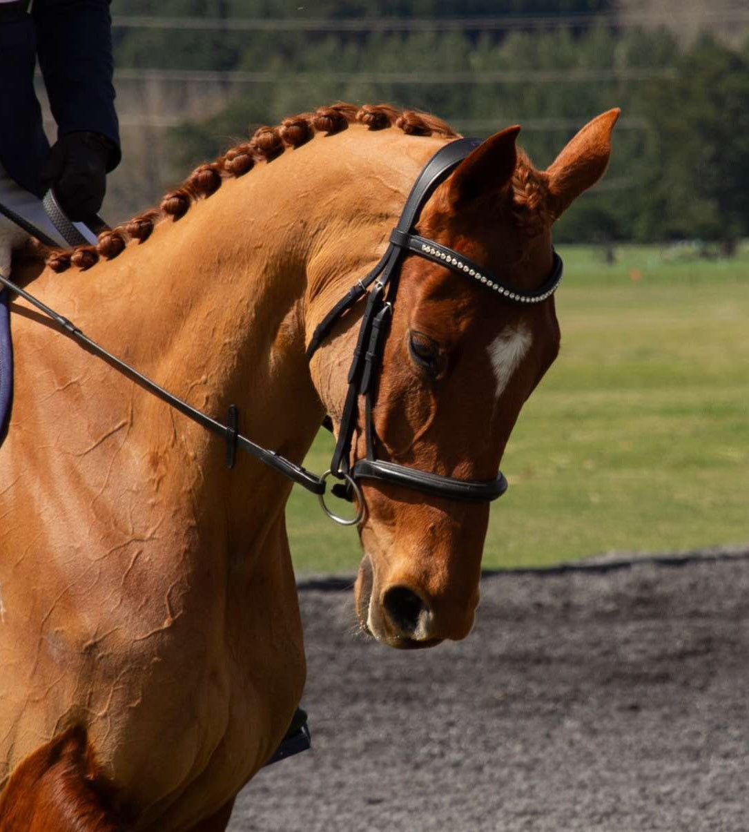 Monica Snaffle Bridle| Black  Foxwood Equestrian | Showing Tack and Saddlery Store