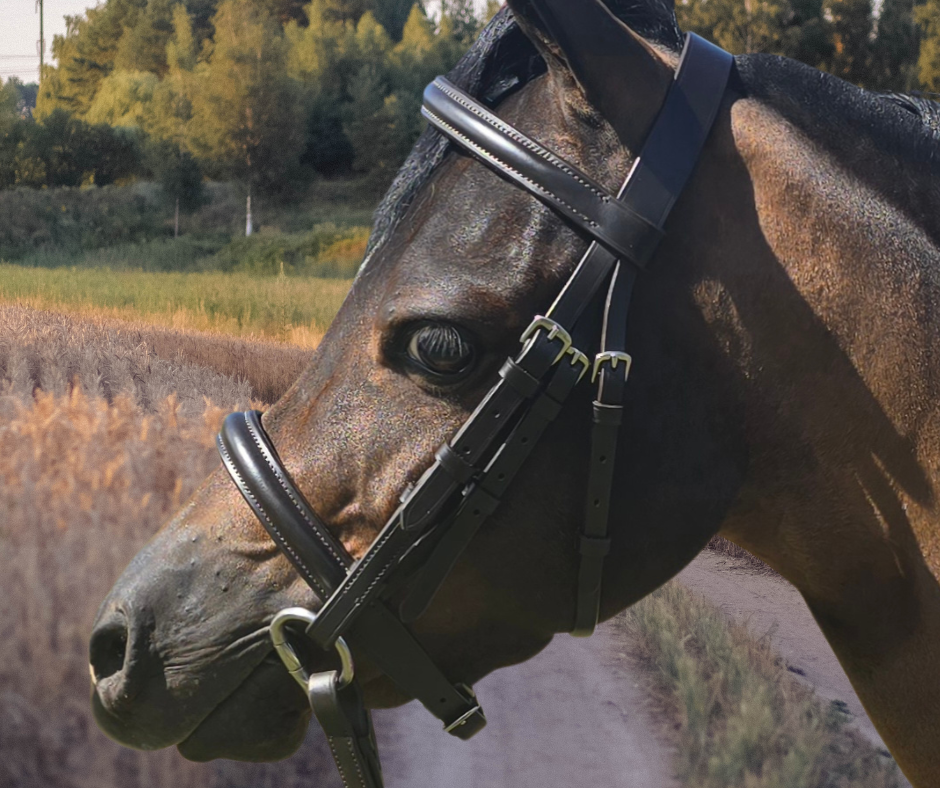 The Stirling Snaffle Bridle- Havana Brown GES Equestrian