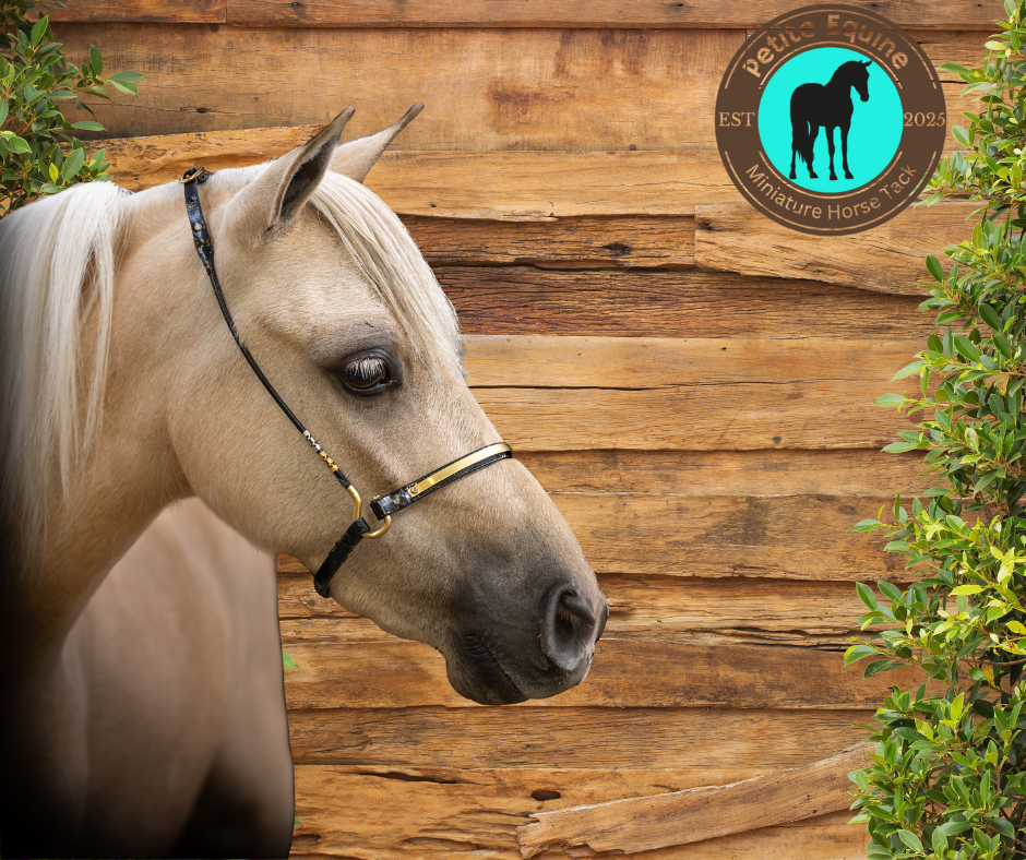 J Hook Brass Noseband Petite Equine