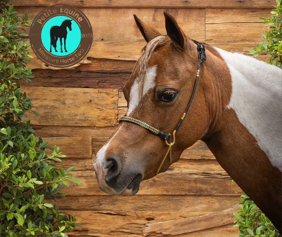 J Hook Noseband -Sapphire Petite Equine