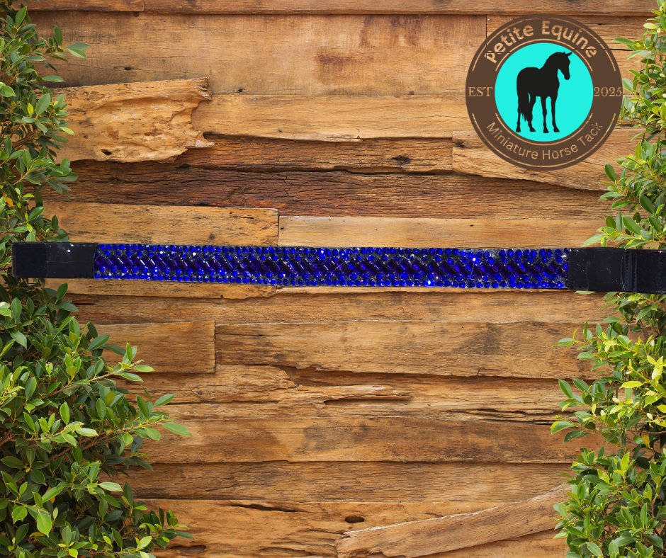J Hook Noseband - Electric Blue Petite Equine