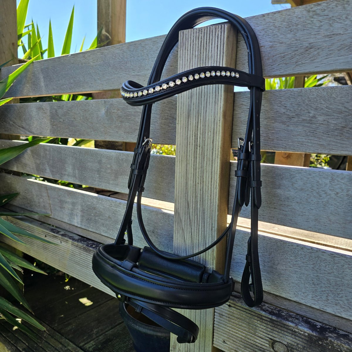 Monica Snaffle| Black | No Reins  Foxwood Equestrian | Showing Tack and Saddlery Store