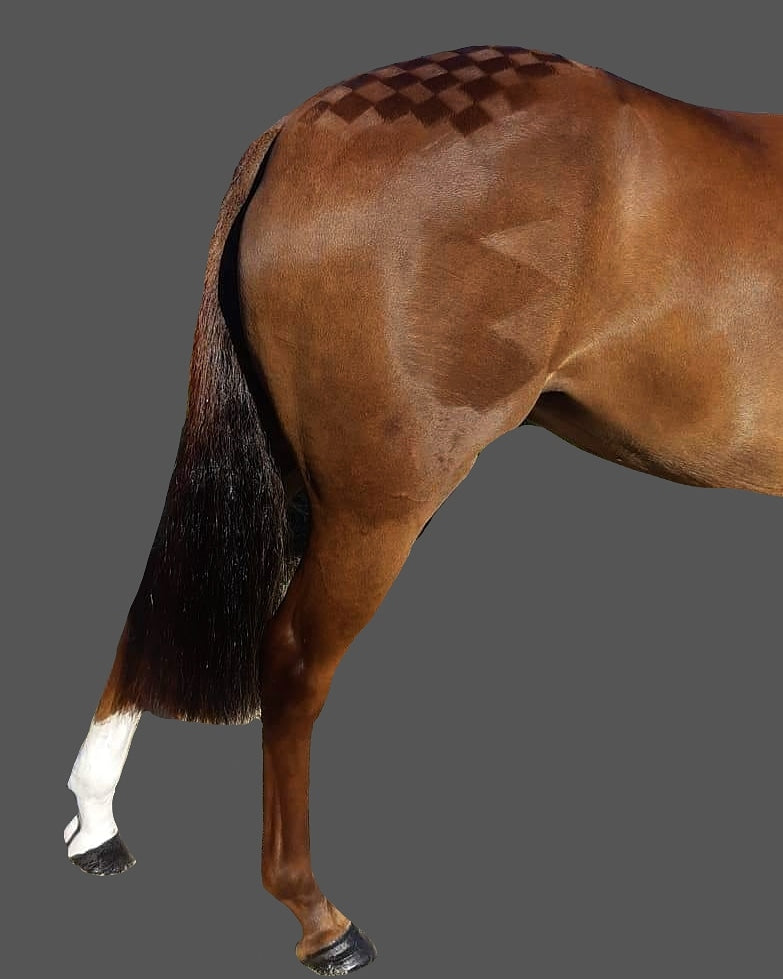 HH Leg Enhance